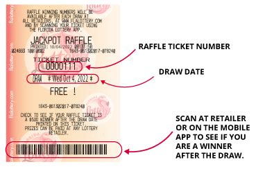 florida lottery raffle winning numbers